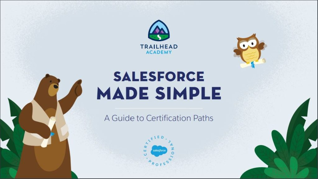 Salesforce Made Simple - A Guide to Certification Paths