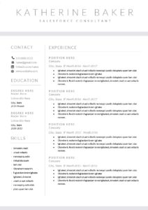 "Katherine" Tech Resume Template Preview- Lipstick and Tech